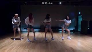 BLACKPINK Dance Practice With WINNER Song