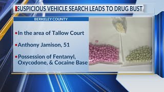Suspicious vehicle search leads to drug bust: BCSO