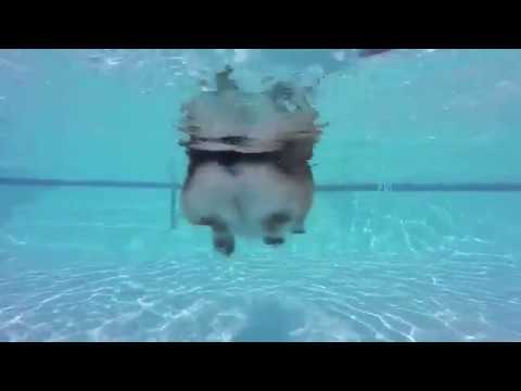 YouTube video preview