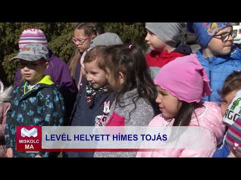 Videó előnézet