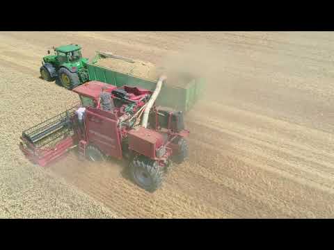 Kompakternteverfahren 2. Feldtag 2020