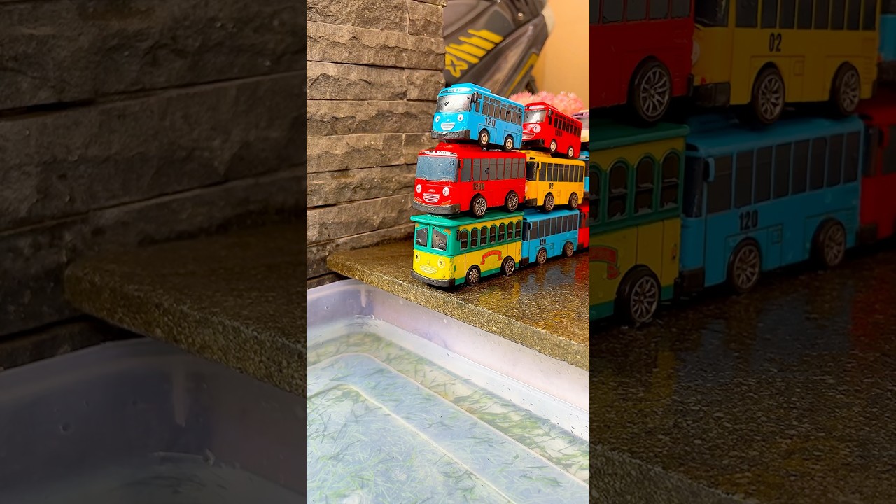 Tayo the Little Bus #toys #tayo #shorts