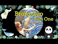 BRONX ZOO L Madagascar L BUG CAROUSEL L Bronxzoo