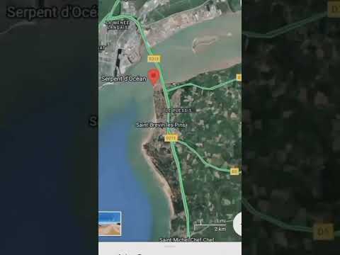 Real snack bone 🦴🐍🐍🐍🐍🐍🐍🐍🐍🐍