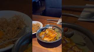 【Vlog】中国駐在妻のリアルな日常🐈🌱#vlog #海外生活 #海外在住 #中国 #駐在妻 #駐妻 #china #深圳 #グルメ #shenzhen #猫 #日常 #海外 #cat