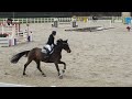 Cavalla 9 anni da Vleut x Corrado I - Vincente in 125 c