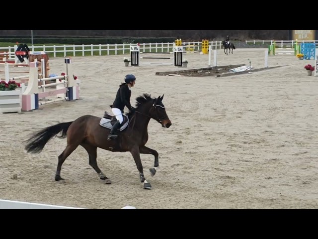 Cavalla 9 anni da Vleut x Corrado I - Vincente in 125 c