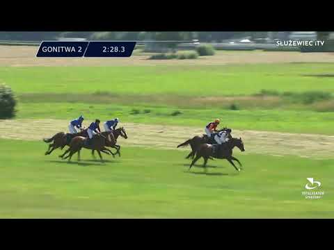 Nagroda Hubala 25.06.2022 - (Dzień 16; Gonitwa 2)