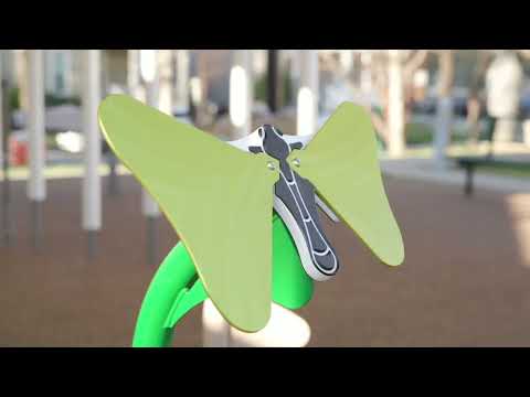 Butterflies Ensemble video 1