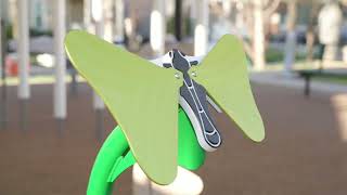 Butterflies Ensemble video thumbnail 1
