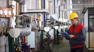 What is an SQF Auditor