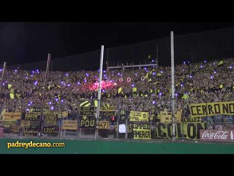 ""Ver estos colores me acelera el pulso" + Final del partido - Hinchada Peñarol (Final Anu" Barra: Barra Amsterdam &bull; Club: Peñarol &bull; País: Uruguay
