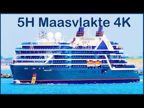 Large Ships at Maasvlakte - Rotterdam Port | Ship Spotting 4K