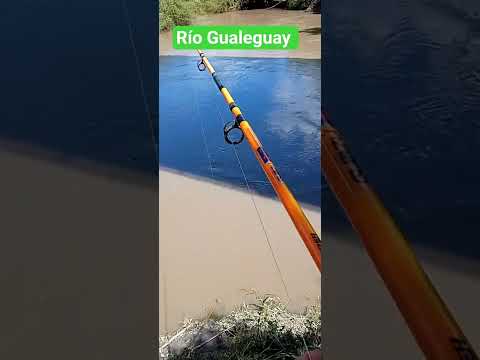 Río Gualeguay un Día perfecto en Entre Rios. buena gente saludos para todos los Entrerrianos... ♥️🎣💪