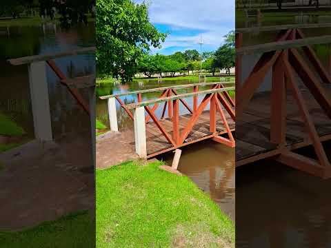 Espelho d'água em Paranaiba/ MS  , Estado do Pantanal