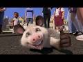 Over The Hedge But It S Ruined By AI