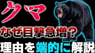 【なぜ？】クマの目撃数が最近急増している理由を端的に解説します。
