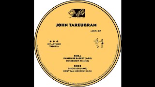 John Tareugram - Immersion