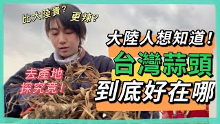 Re: [問卦] 青鳥們會怎麼評論陸生來台?