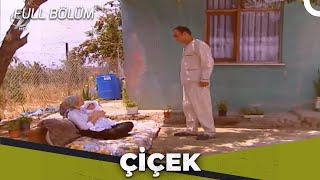 Çiçek - Kalp Gözü