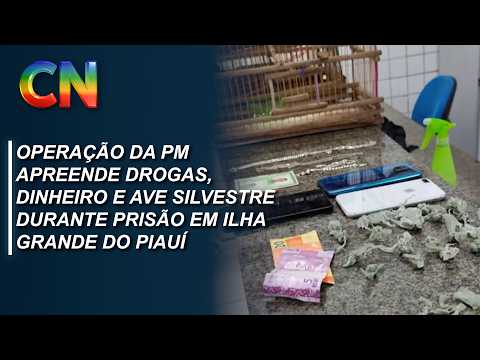 Operação da PM apreende drogas, dinheiro e ave silvestre durante prisão em Ilha Grande do Piauí