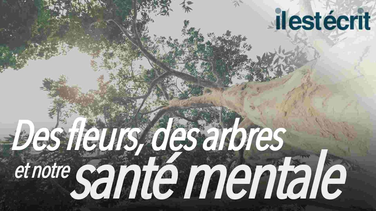 Des fleurs, des arbres et notre santé mentale