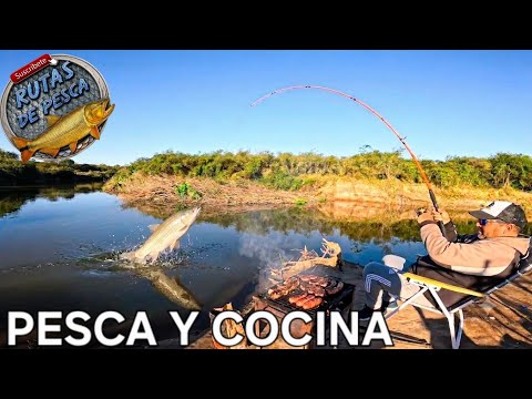 🔥BOGAS Y BAGRES TIRO A TIRO🎣🔥 MUCHO PIQUE, BUENA PESCA EN EL CANAL DE LOS PUESTOS. TUCUMÁN 2026