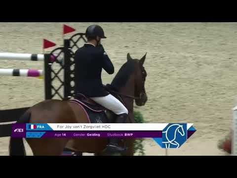 CSI5*-W Helsinki 2019 / Kévin Staut & For Joy van't Zorgvliet*HDC - Grand Prix - 1,60m