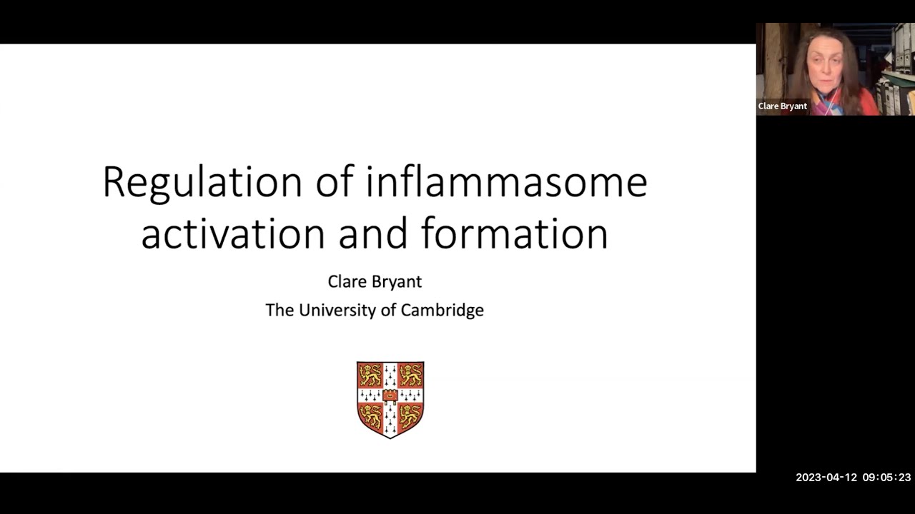 "Regulation of inflammasome activation and formation" by Dr. Clare Bryant