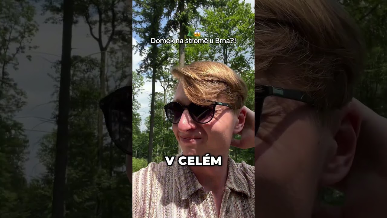 Lesy města Brna video thumbnail