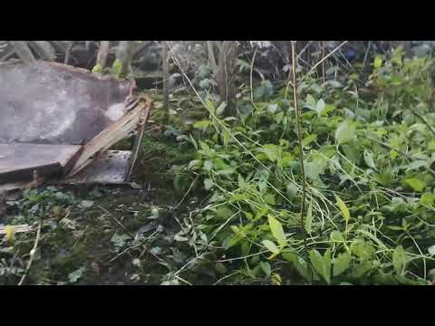 Explore Of A Coffin Makers Cottage