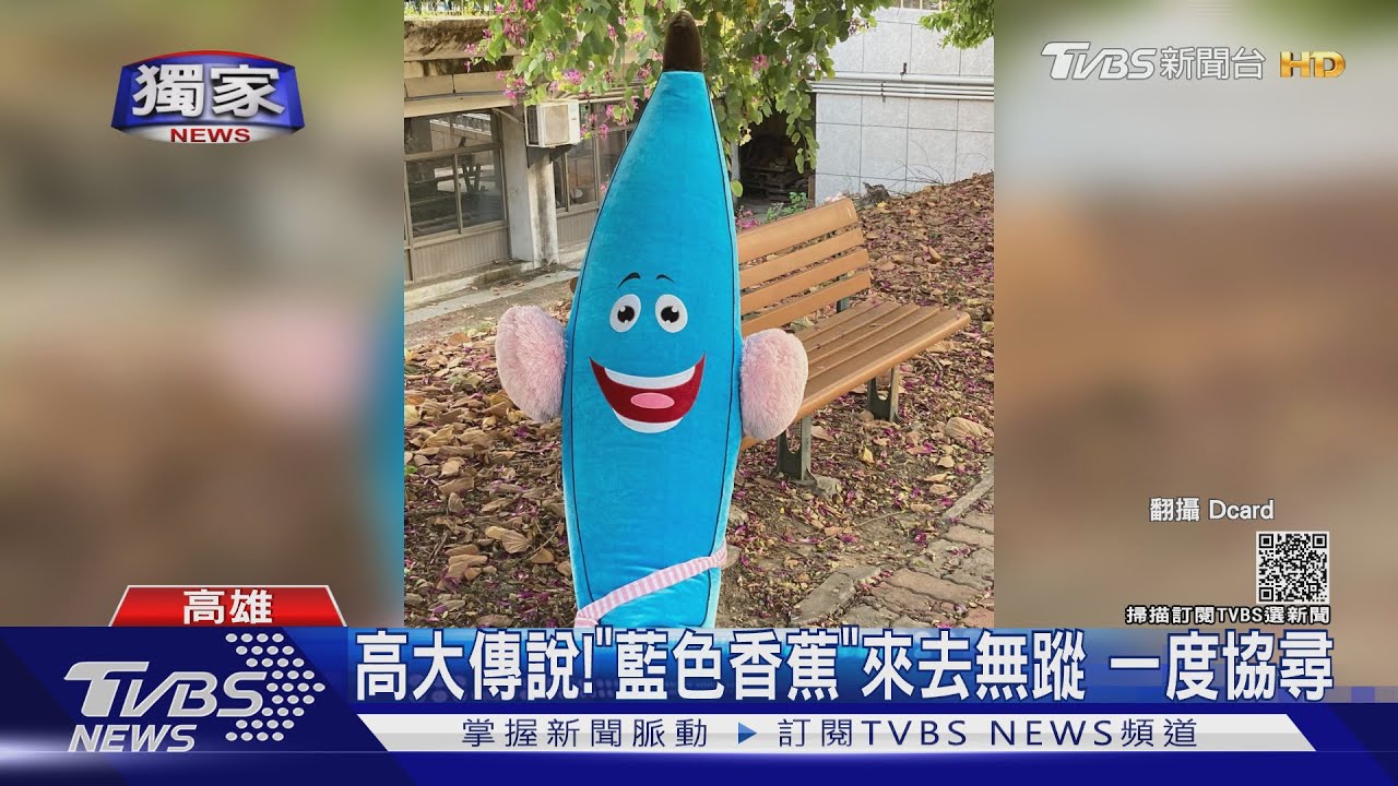 高雄大學傳說！「藍色香蕉」來去無蹤　曾被目擊在樹上