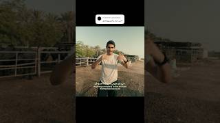 هل مناطحة الثيران لعبة وحشية؟ 🇴🇲🐂