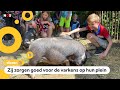 Nieuwe wet die leven van dieren beter moet maken, kinderen zijn er blij mee
