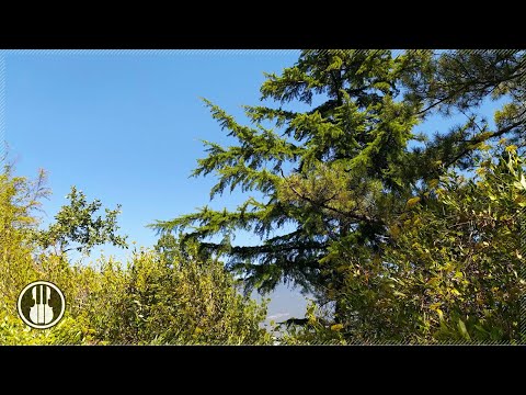 4 Stunden Sommerwind in den Bergen. Naturgeräusche zum Entspannen, Schlafen, Lernen.