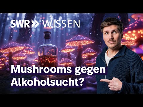 Helfen Psychedelika wie Magic Mushrooms eine Sucht zu überwinden? | SWR Wissen