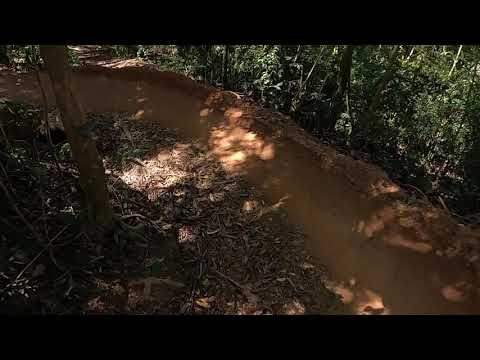 Descida da trilha DH42 na serra da Cantareira