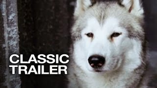 Eight Below Movie