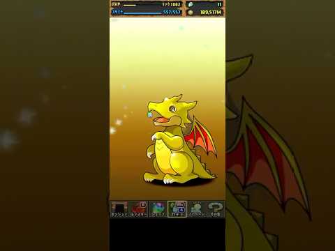 「パズドラ無欲の単発で運試し！奇跡の瞬間を見逃すな！」