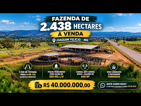Fazenda de 2.438 ha à Venda em Joaquim Felício - MG (Frente BR-135)