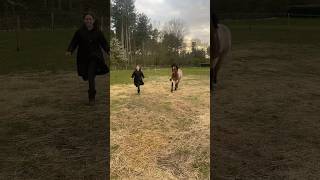 Thank you so much for 217 subscribers! #equestrian #horse #rudolph #pony #running #runninghorse