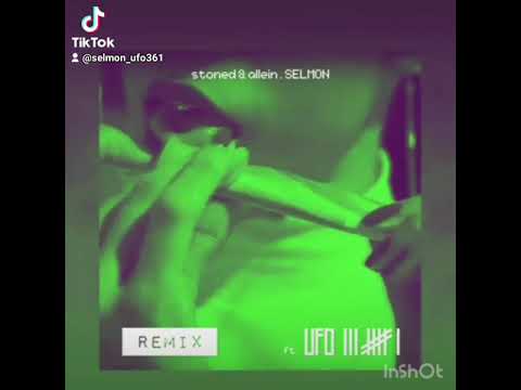 selmon ft.ufo361 stoned.allein.