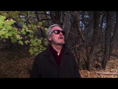 September in the Rain | Cover by Standard Music Inc.