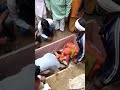 89 Srx Hot Saree Mandir