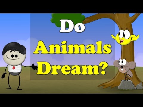 動物は夢を見るのか？| ω・ω・ω・ω・ω・ω・ω・ω・ω・ω・ω・ω・ω・ω (Do Animals Dream? | #aumsum)