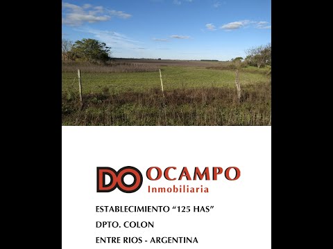 125 has Col. Hambís - Dpto Colón - Entre Ríos - Argentina