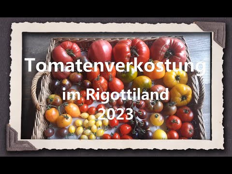 Tomatenverkostung im Rigottiland 2023