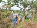 Iis Sugiarti Kau Awal Segalanya By Iryan Irawan
