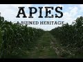 Documentary Apies A Ruined Heritage
