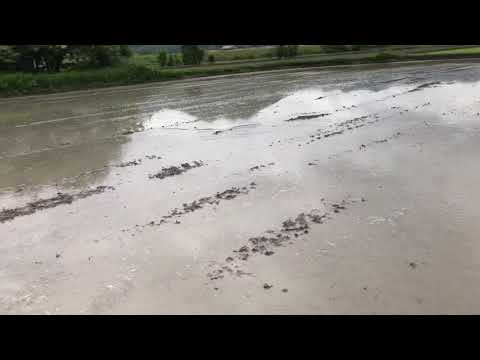 なんとか1回目の代掻き完了😅　2020　0614